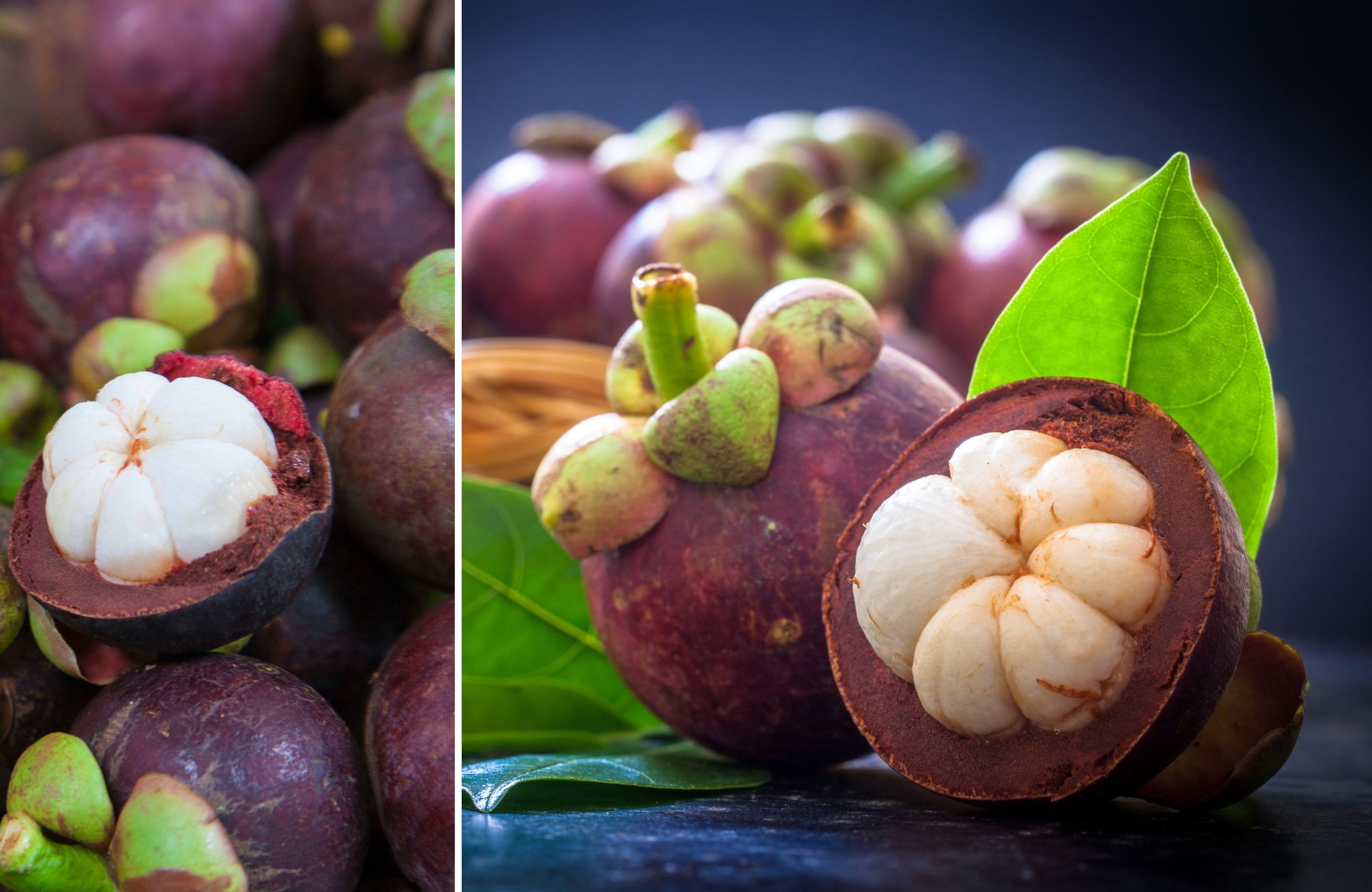 Mangoustan Lyophilisé - Snack Croustillant 100% Naturel - Thaïlande - 200g